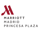 MADRID MARRIOTT HOTEL PRINCESA PLAZA