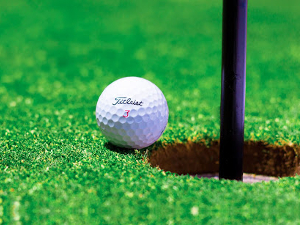 Pitch & Putt